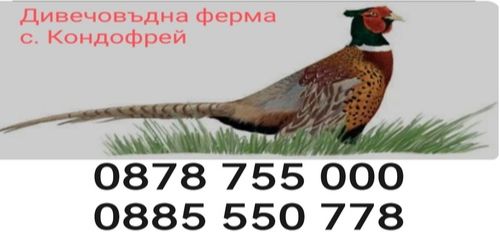 дивечовъдна Ферма За Фазани - яребици - Кеклик и див заек - доставка и транспорт